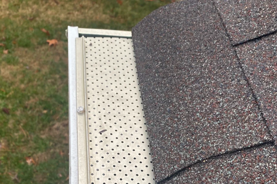 Gutter Cleaning Wadsworth