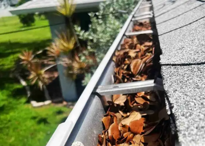 Gutter Cleaning Wadsworth home page