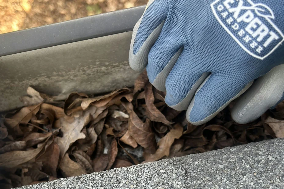 Wadsworth Gutter Cleaning