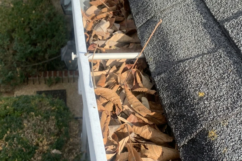 Wadsworth Gutter Cleaning